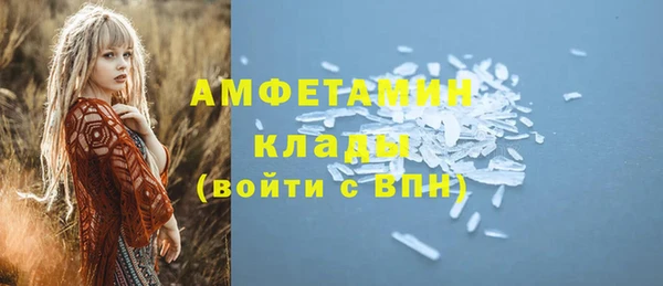 молекула духа Каменка