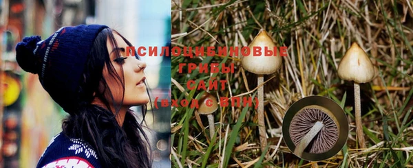 гашиш Абаза