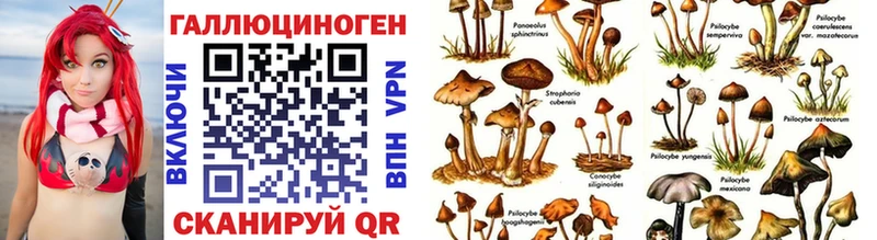 мориарти как зайти Щёлково Псилоцибиновые грибы прущие грибы продажа наркотиков