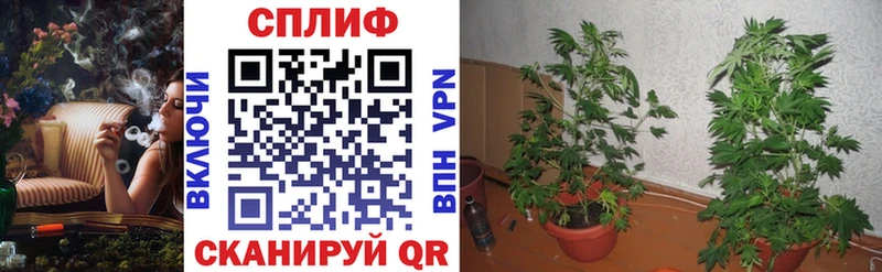 Конопля LSD WEED  купить наркоту  Щёлково 